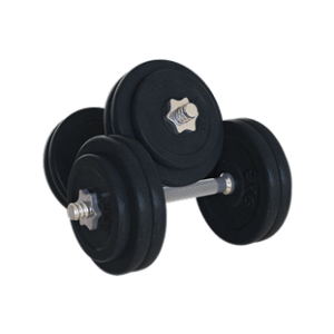 25lb 5 in 2  Dumbbells